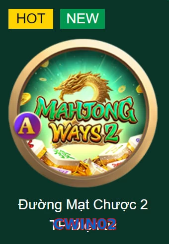 CWIN02