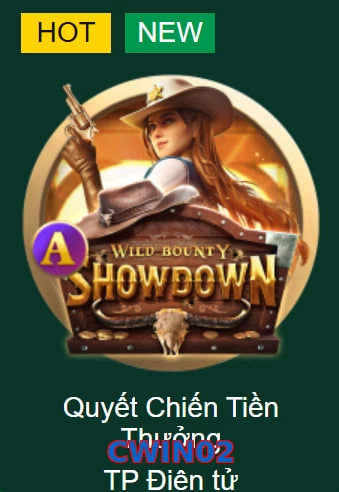 CWIN02