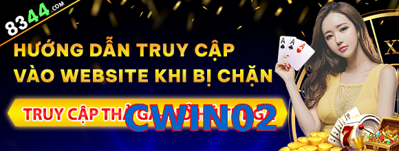 CWIN02